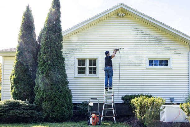 Best Exterior Home Cleaning  in Clinton, MI