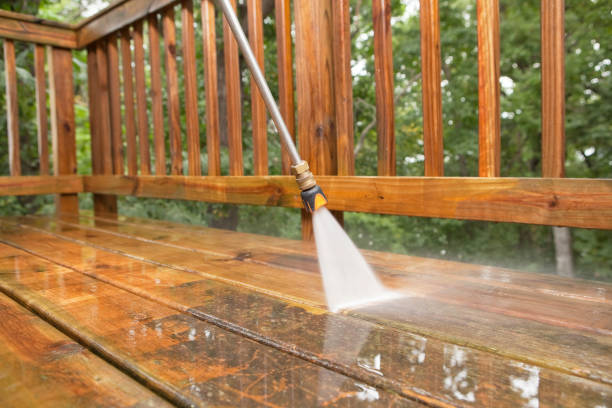 Best Pressure Washing Patio  in Clinton, MI