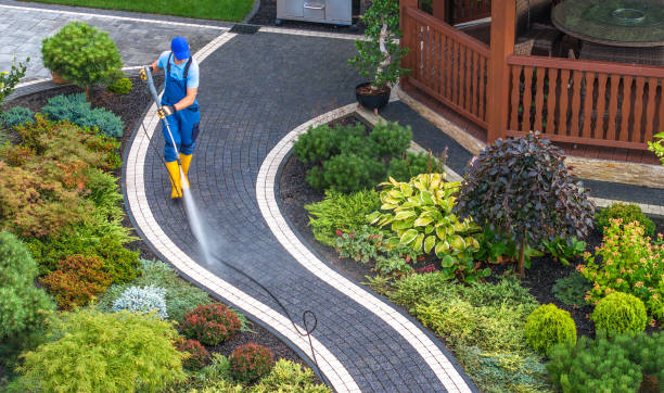 Best Affordable Pressure Washing  in Clinton, MI